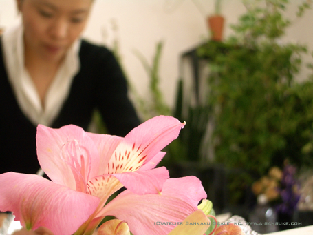 マルタサン0402.jpg